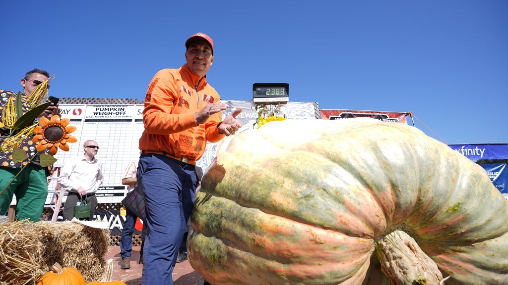 Minnesota man drives hauls giant pumpkin over 2,000 miles to California competition — CBS Bay Area (KPIX), Cupertino Community news