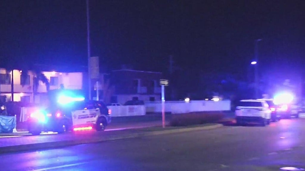 Woman accused of killing man in Dania Beach hit-and-run, BSO says — CBS Miami, Cupertino Community news