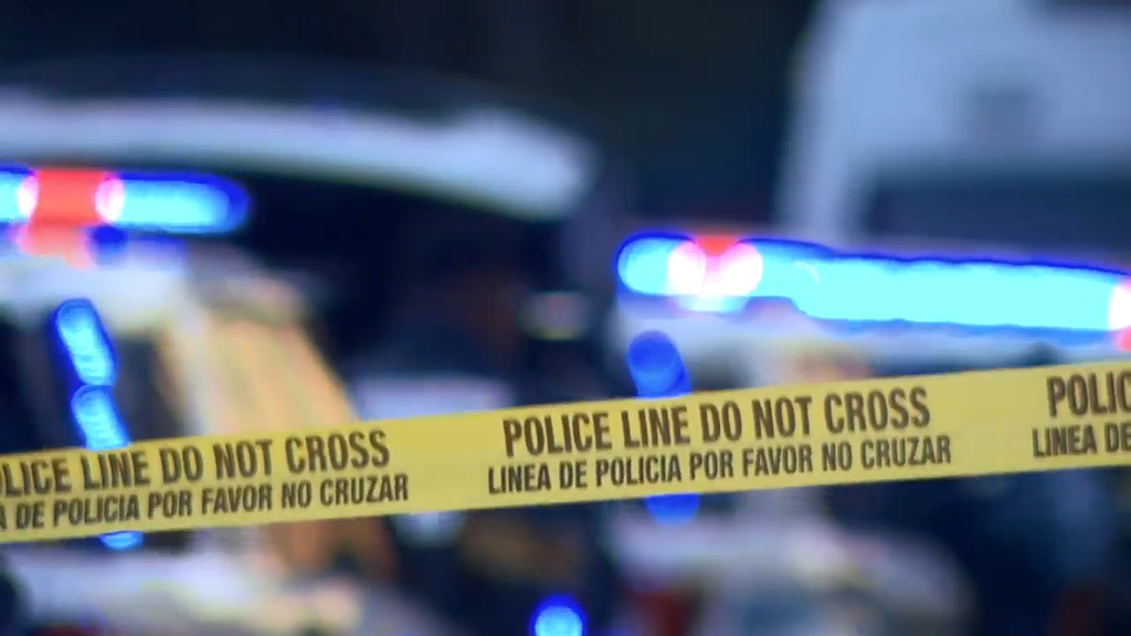 Man accused of stabbing, killing his own mother in Tamarac, BSO says — CBS Miami, Cupertino Health news