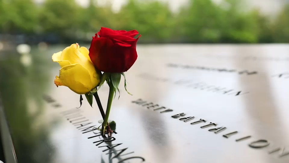 Second 9/11 victim identified with breakthrough genetic genealogy, NYC officials say
       — ABC 7 Bay Area, Cupertino Community news