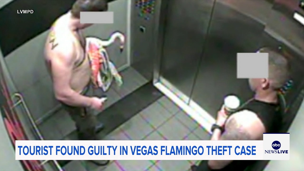 Man who snatched Peachy the flamingo from Las Vegas hotel exhibit found guilty of animal cruelty
— ABC 7 Bay Area, Cupertino Arts news