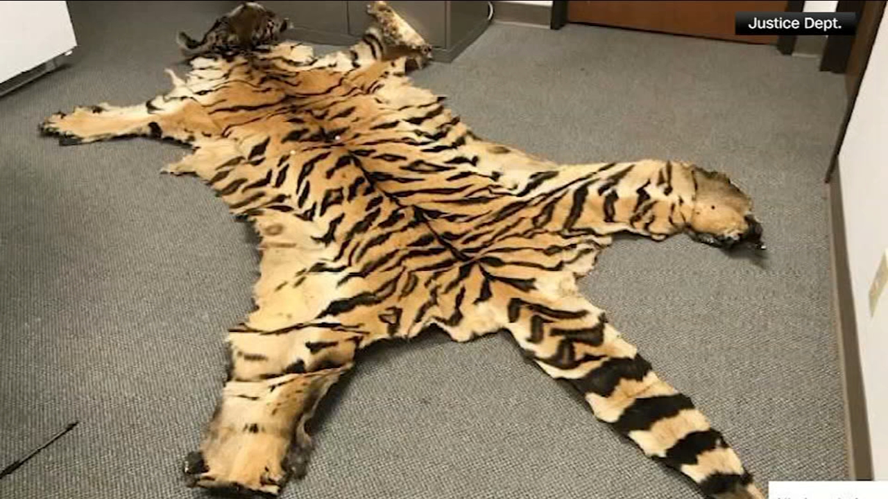 California couple pleads guilty to trafficking wildlife
       — Cupertino Community news