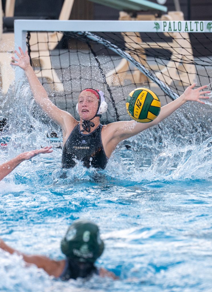 Wilcox Water Polo Caught in Vikings Rip Current — Silicon Valley Voice, Cupertino Sports news