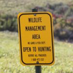 Pointers for Public Land Hunting — NewsDakota, Cupertino Sports news