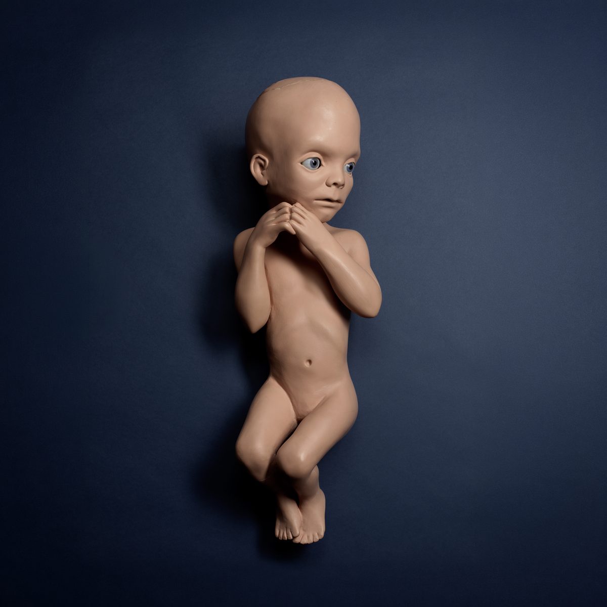 Iconic Stanley Kubrick Props Hit the Auction Block — Los Angeles Magazine, Cupertino Arts news