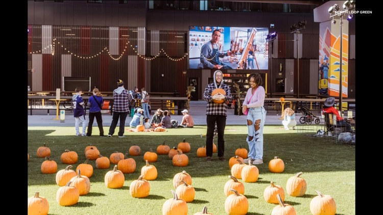 Spooky season with North Loop Green — KARE 11 Local, Cupertino Sports news