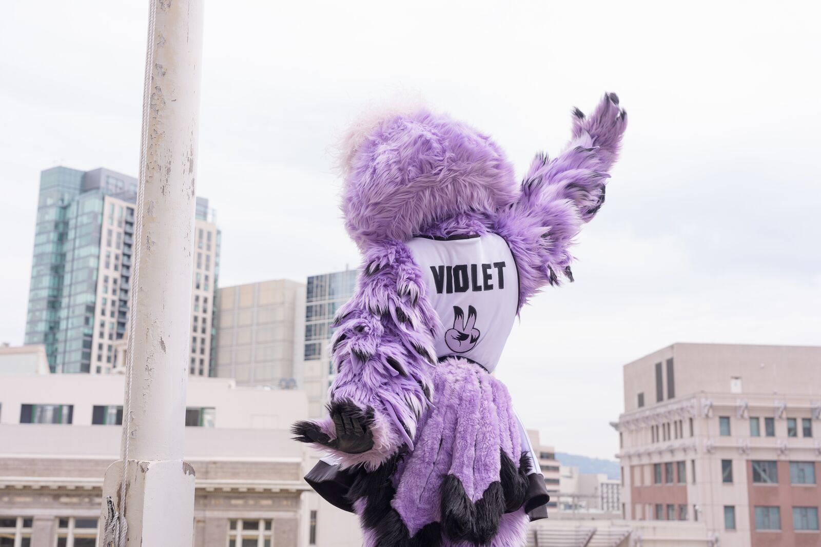 This week in Oakland: an outdoor Valkyries watch party, and singersongwriter Laura Anglade at Yoshi’s — The Oaklandside, Cupertino Arts news