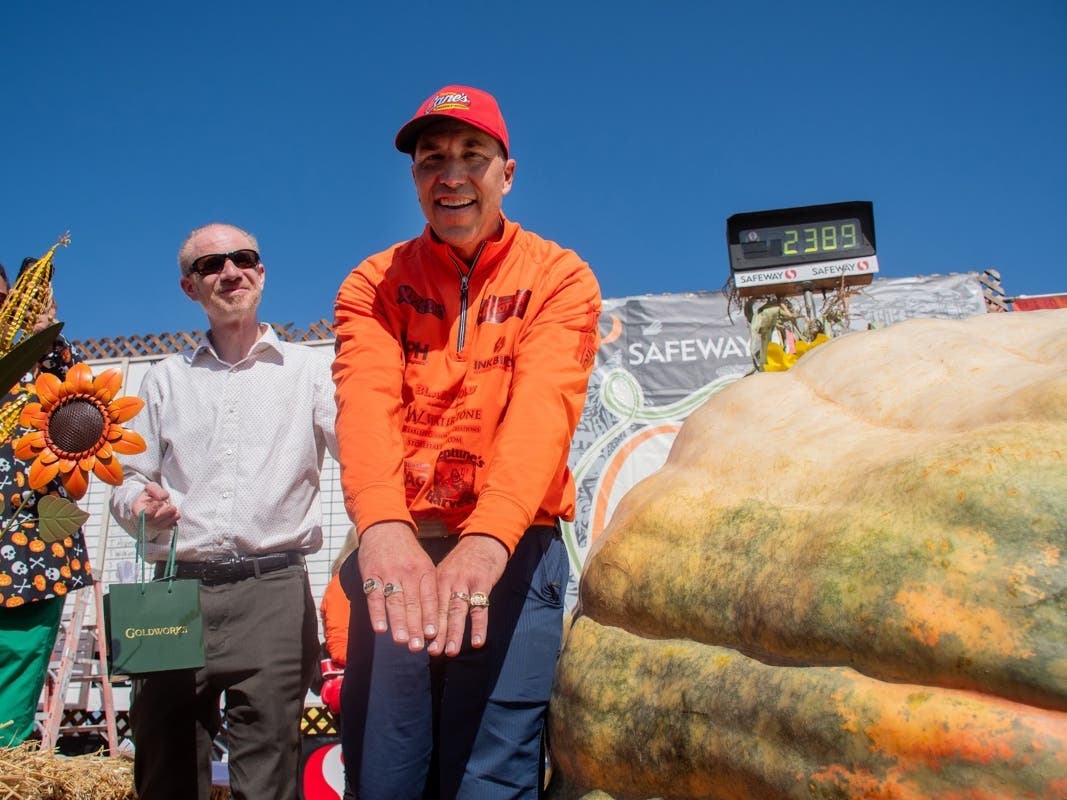 The World Pumpkin Record Was On The Line At The Annual Half Moon Bay Contest — Cupertino Patch, Cupertino Community news
