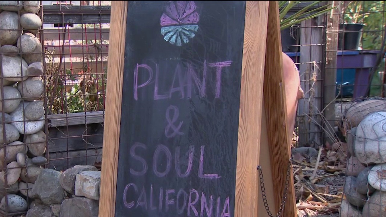 San Jose community garden faces possible eviction — KTVU FOX 2 Bay Area, Cupertino Schools news