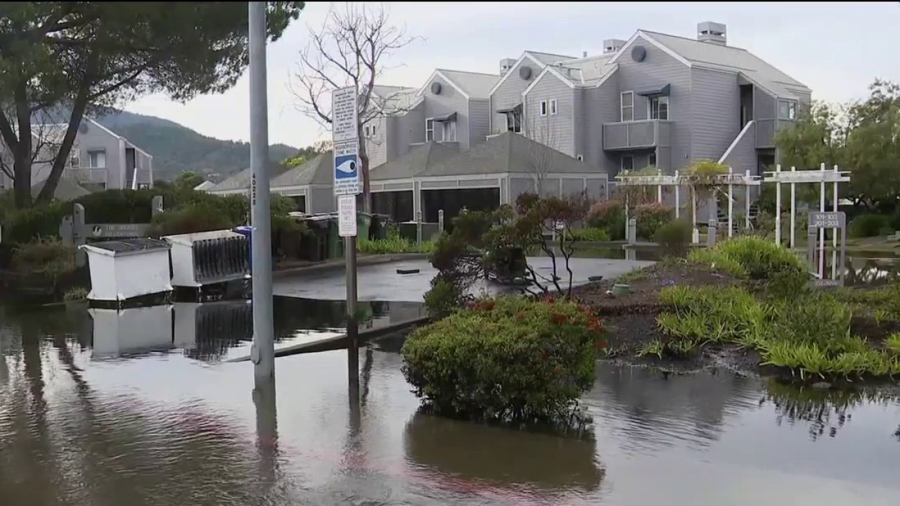 North Bay is flooding from tides and it hasn't even rained — Cupertino Community news