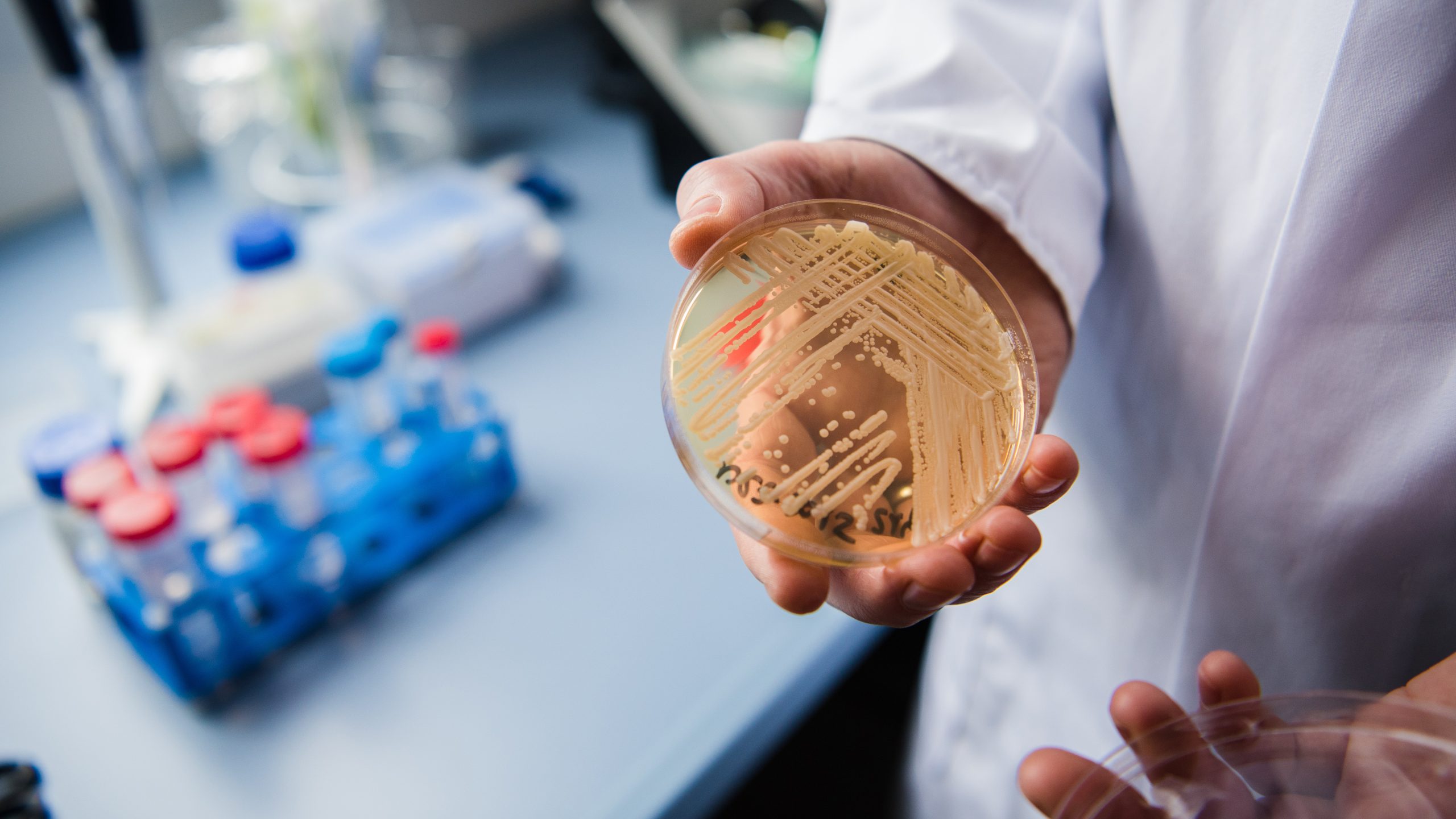 New study reveals why dangerous fungus is so difficult to treat — KTVU FOX 2 Bay Area, Cupertino Community news