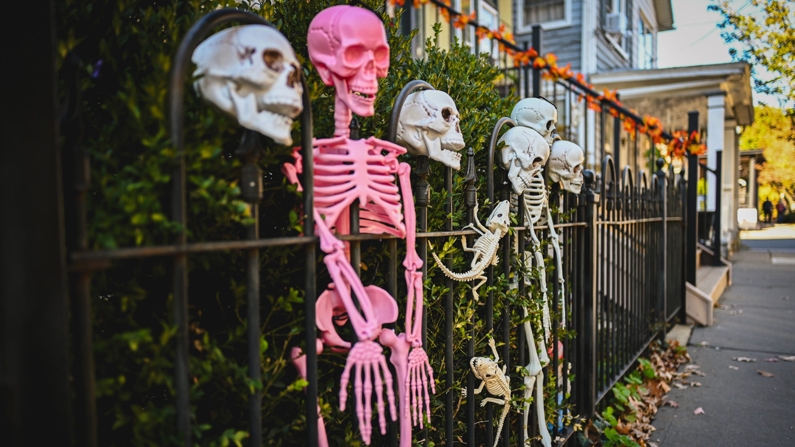America's best cities for Halloween, ranked — KTVU FOX 2 Bay Area, Cupertino Community news